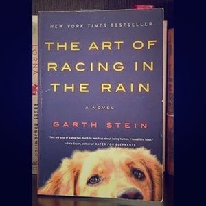 The Art of Racing in the Rain novel